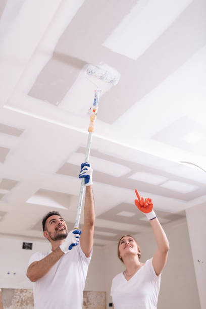 Reliable Presque Isle, ME Mold Removal Solutions