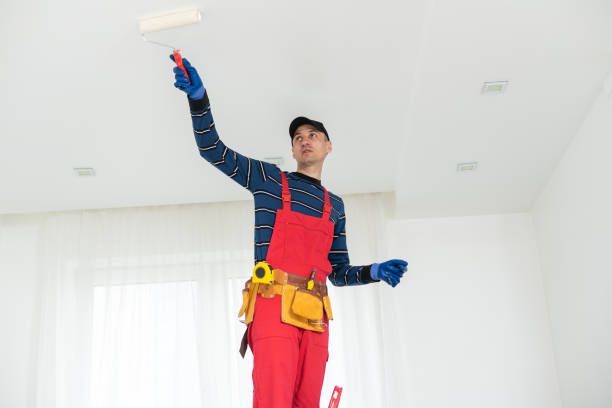 Best Dehumidification Services  in Presque Isle, ME
